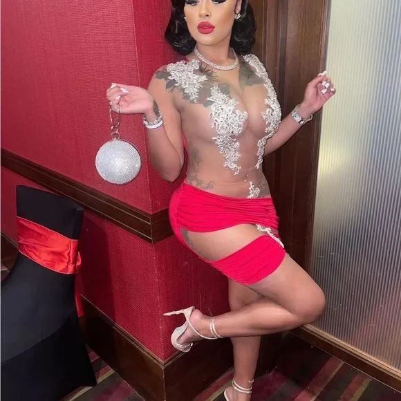 Red and Silver Sheer Dress - Picture 2 of 6